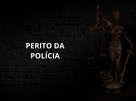 PERITO DA POLÍCIA