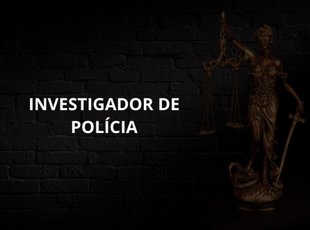 INVESTIGADOR DE POLICIA